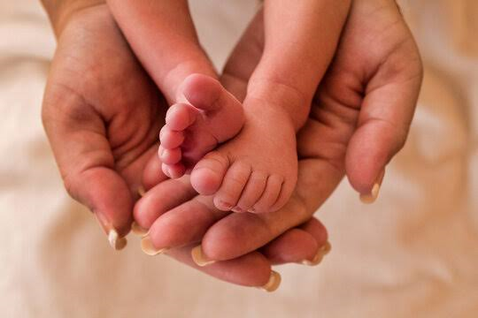 prolife